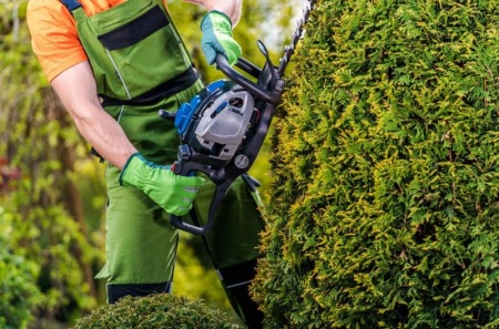 La taille des haies et arbustes rythme l'entretien du jardin &agrave; Angers